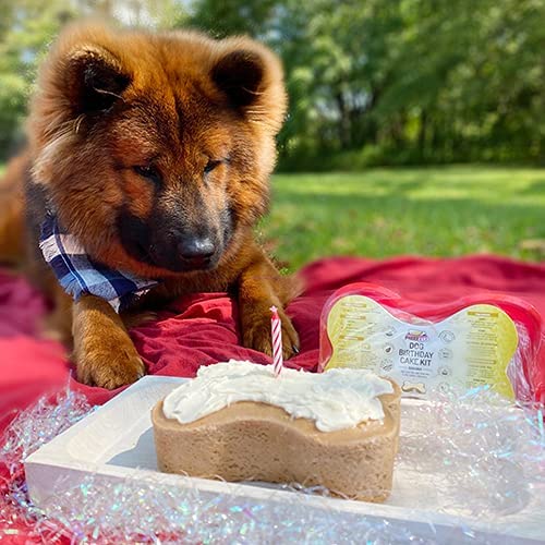 Birthday Cake for Dogs - Birthday Cake Flavor