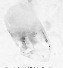 Quartz Crystal Point Stone, Sizes Varie