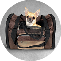 Carriers, Crates & Kennels