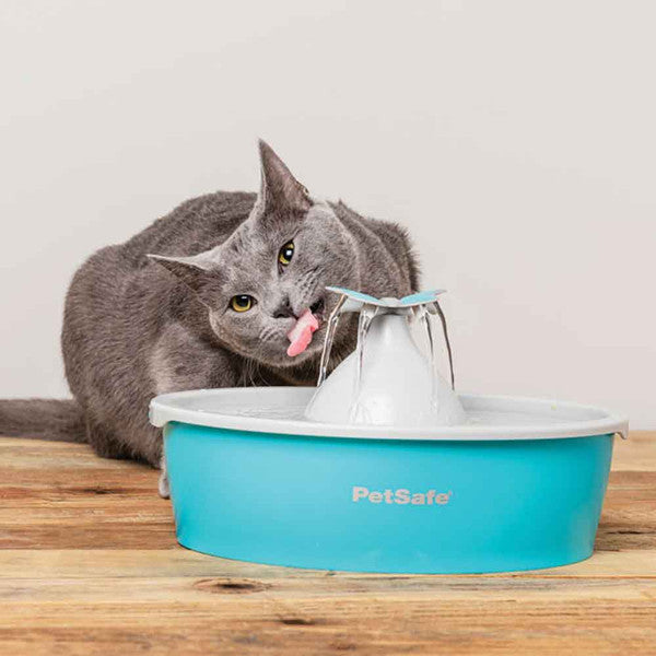 PetSafe Drinkwell Butterfly Pet Fountain