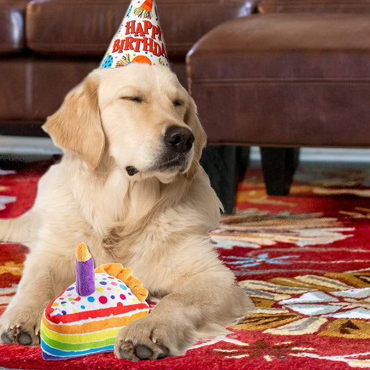 Dog Toy - Birthday Cake Slice Plush
