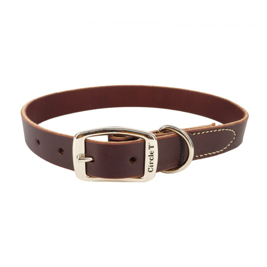 Circle T Latigo Leather Town Dog Collar