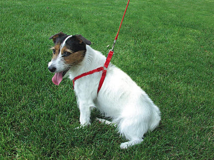 Coastal Comfort Wrap Red Adj Nylon Harness