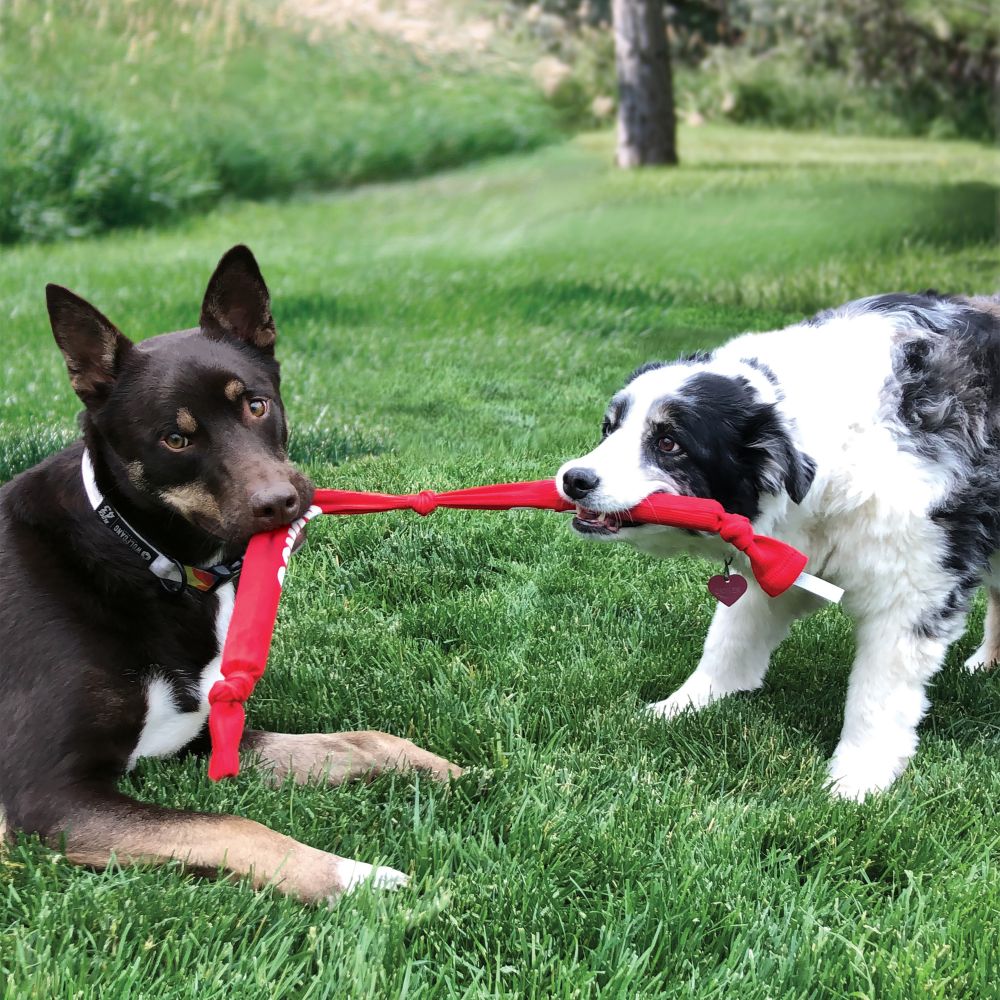 Signature Crunch Rope