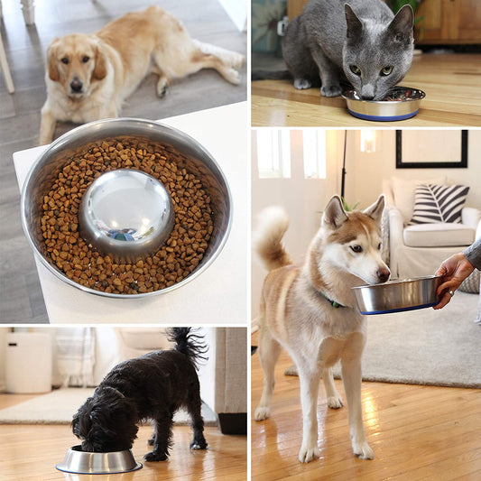 OurPets Premium Stainless Steel Slow Feed Dog Bowl