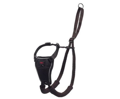 Halti Harness