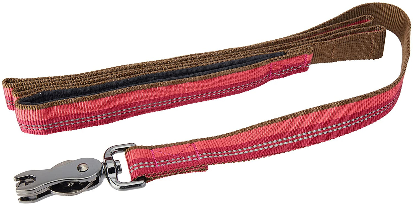K9 Explorer Reflective Adjustable Dog Collar and leash