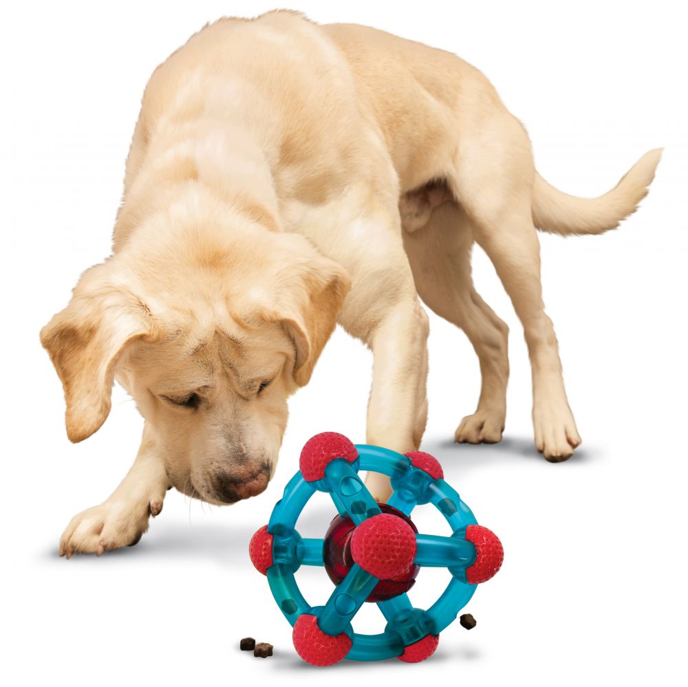 KONG Rewards Tinker Dog Toy