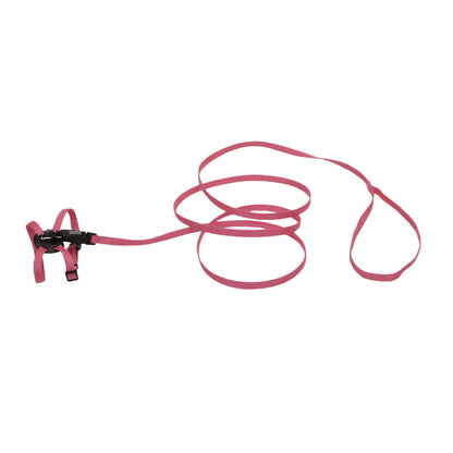Adjustable Kitten Harness & 6' Leash Combo