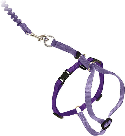 Harness & Bungee Leash for Cats (Lilac/Deep Purple)