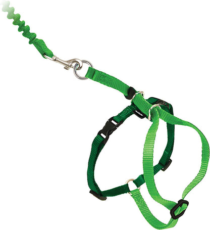 PetSafe Come with Me Kitty Harness and Bungee Leash, Electric Lime/Green