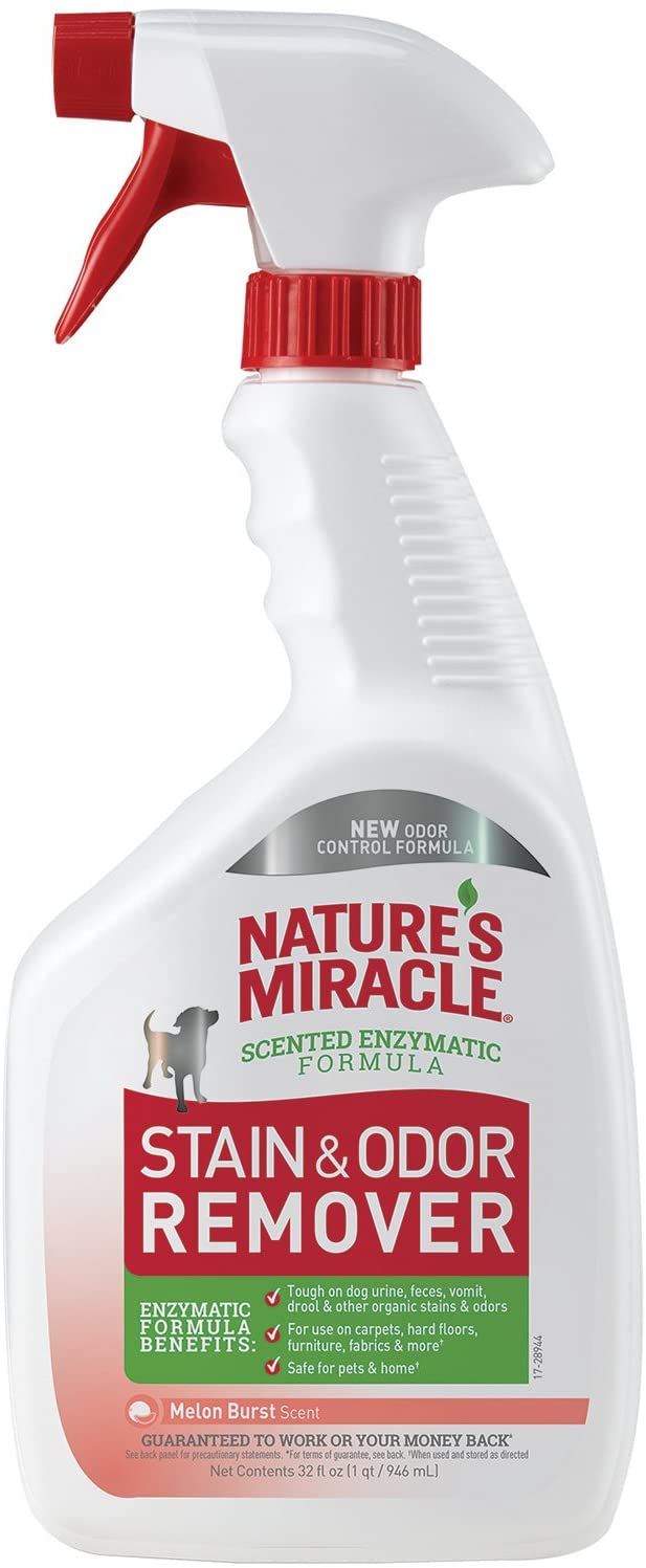 Dog Stain and Odor Remover - Melon Burst 32 oz