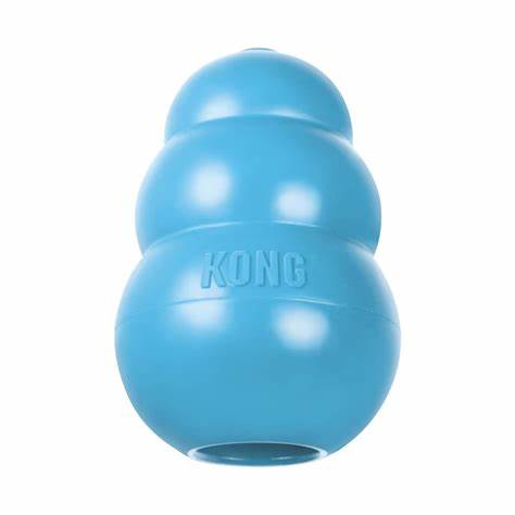 Kong Toy for Puppies