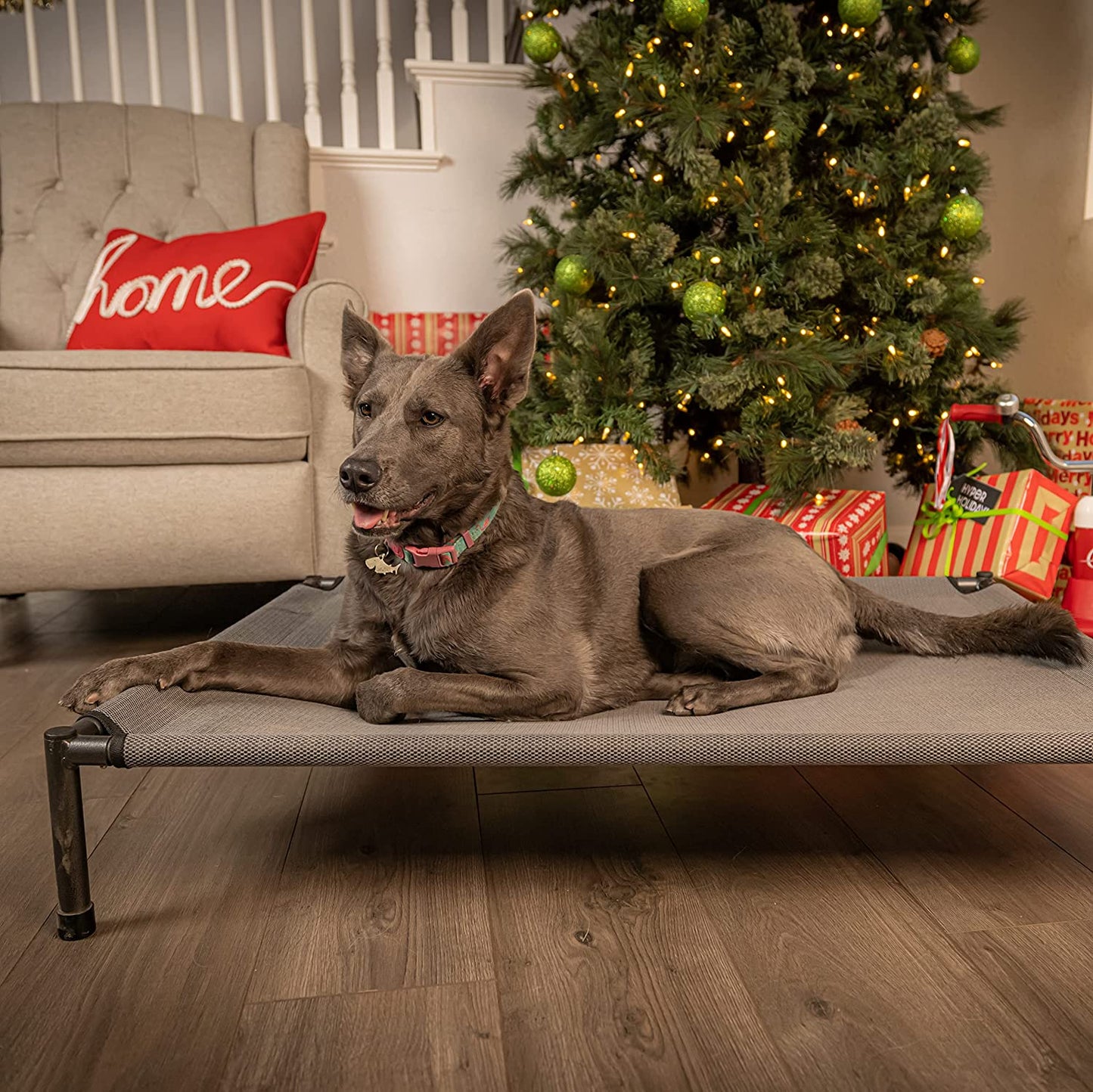 Raised Rest Deluxe Elevated Dog Bed (Outdoor Dog Bed That Is a Washable Dog Bed -Great Raised Dog Bed, Large Dog Bed- X-Large Dog Bed) 40X30X6.99-Holds 125 Lbs-Gray